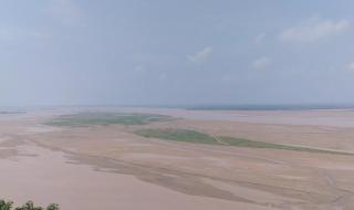 桃花峪黄河大桥 桃花峪黄河大桥