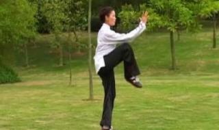 杨氏太极拳85式 杨氏太极拳85式