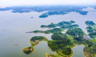 武汉钓鱼圈 武汉钓鱼圈