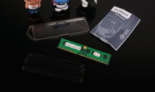 kingstonkvr kingstonkvr