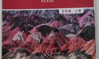 五年级上册科学试卷