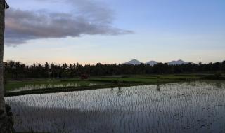 皇太子的初恋演员表 皇太子的初恋演员表