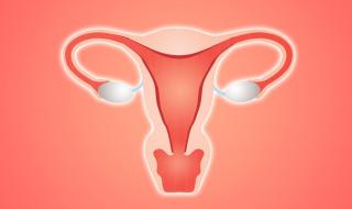 附件炎的症状有哪些