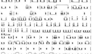 喜庆唢呐百鸟朝凤 喜庆唢呐百鸟朝凤