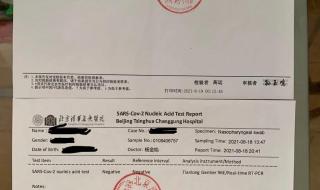 核酸检测多久拿报告