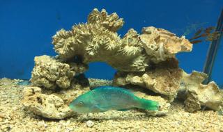 秦皇岛新奥海底世界