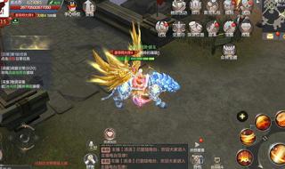 奇迹圣导师怎么加点 奇迹圣导师怎么加点