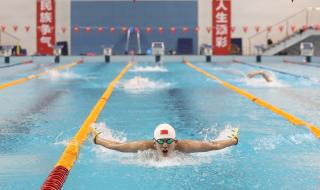 东京奥运会游泳金牌榜