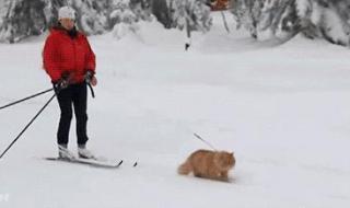 冬奥会开始于哪一年 冬奥会开始于哪一年