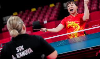 中国乒乓球金牌统计表